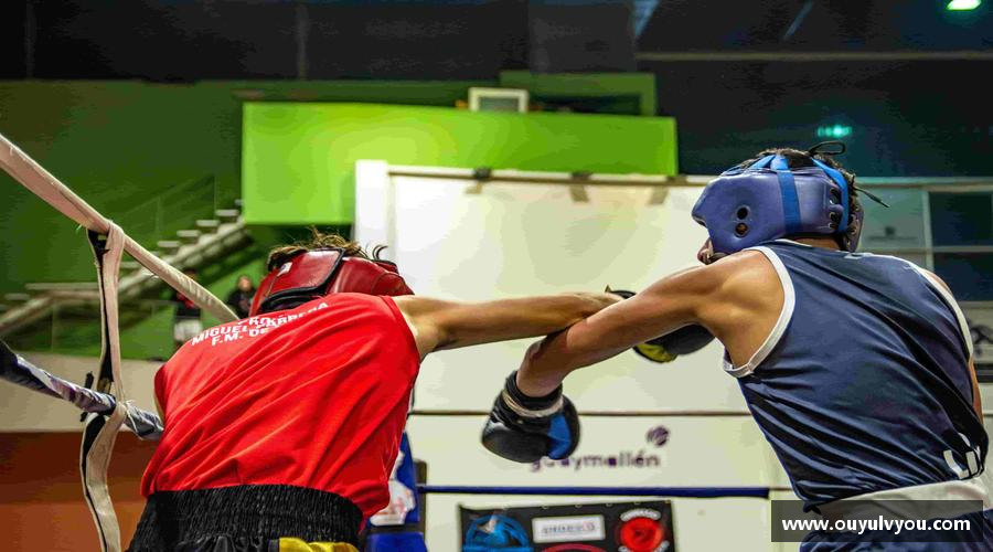 竞技宝官网网站汗水浇灌梦想，坚持成就辉煌